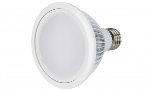 Светодиодная лампа Arlight E27 MDSL-PAR30-12W 120deg White 6000K (ARL PAR30) 014143