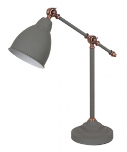  Настольная лампа Arte Lamp Braccio A2054LT-1GY
