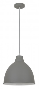  Подвесной светильник Arte Lamp Braccio A2055SP-1GY