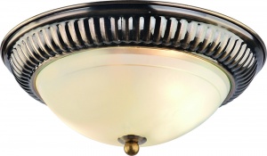  Потолочный светильник Arte Lamp Alta A3016PL-2AB