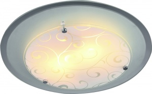  Потолочный светильник Arte Lamp Ariel A4806PL-2CC