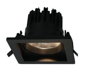 Светодиодный встраиваемый светильник Arte Lamp Privato 7W 3000K A7007PL-1BK