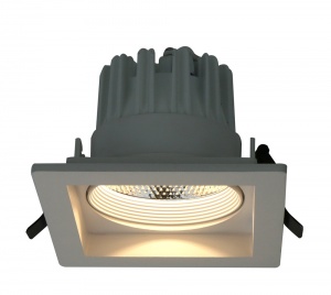  Светодиодный встраиваемый светильник Arte Lamp Privato 7W 3000K A7007PL-1WH
