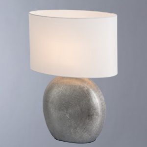  Настольная лампа Arte Lamp Marriot A5144LT-1SI 