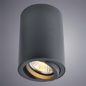  Точечный накладной светильник Arte Lamp Sentry A1560PL-1BK