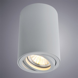  Точечный накладной светильник Arte Lamp Sentry A1560PL-1GY