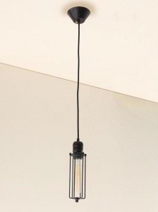  Подвесной светильник Edison CL450202 Citilux