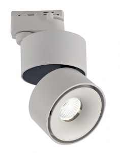 Трековый светодиодный светильник однофазный DesignLed WL T003112-GD-12-WH-NW 12W 4000K 002893