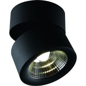  Светодиодный поворотный накладной светильник Urchin  10W 4000K 1295/04 PL-1 Divinare