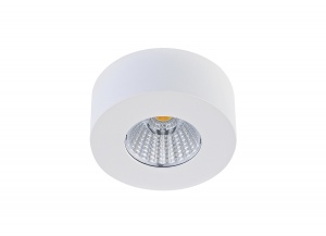  Светодиодный накладной светильник Donolux 7W 3000K DL18812/7W White R