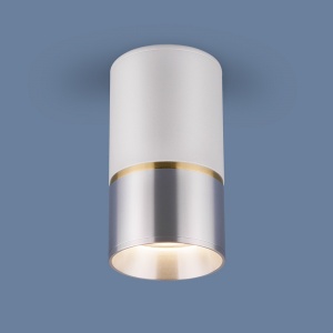 Накладной потолочный светильник Elektrostandard DLN106 GU10 белый/серебро 4690389148606
