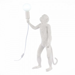 Настольная лампа Evoluce Tenato SLE115114-01