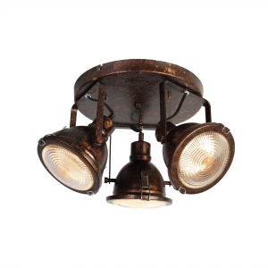  Потолочный светильник Favourite Industria 1898-3C