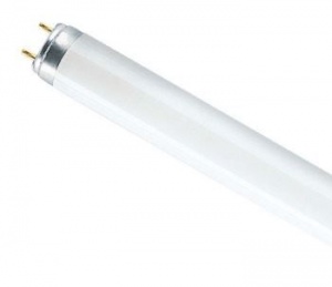 Люминесцентная лампа Foton LТ4 8W 6400К 327 mm 604279