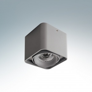  Светодиодный накладной светильник Lightstar Monocco  10W 4200K 052119