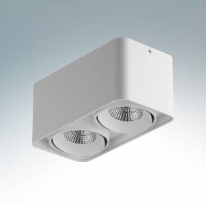  Светодиодный накладной светильник Lightstar Monocco  2x10W 4200K 052126