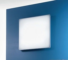  Светильник настенно-потолочный 6950 Albook Linea Light