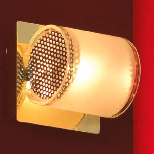  Светильник настенно-потолочный Lussole LSQ-3411-01