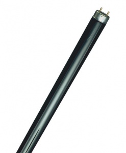 Лампа ультрафиолетовая Osram L18/73   G13   590mm (315-400nm) (чёрное стекло) 4052899523517