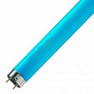 Люминесцентная лампа Osram L36/67 G13 D26mm 1200mm (синяя) 4050300024264