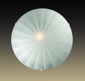  Настенно-потолочный светильник Sonex Fossa 1204/L
