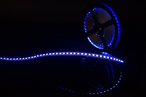 Лента светодиодная SWG стандарт SMD 3528 120 LED/м 9.6 Вт/м 12В IP20 Цвет: Синий 000060