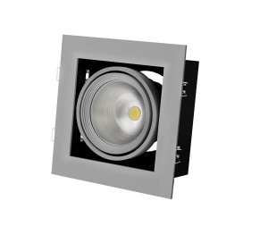 Светильник Downlight светодиодный карданный Vivo Luce Grazioso 1 LED 30W 4000K silver clean 43061 Citizen