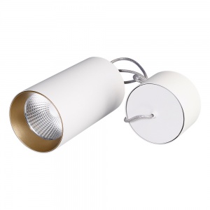 Подвесной светодиодный светильник Arlight SP-Polo-R85-2-15W Day White 4000K 40deg (White-Gold Ring) 022943