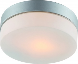  Настенно-потолочный светильник Arte Lamp Aqua A3211PL-1SI