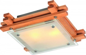  Потолочный светильник Arte Lamp Archimede A6460PL-2BR