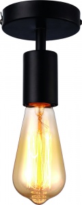  Потолочный светильник Arte Lamp Fuori A9184PL-1BK