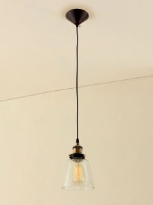  Подвесной светильник Edison CL450103 Citilux