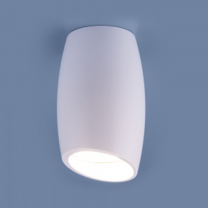 Накладной потолочный светильник Elektrostandard DLN002 MR16 WH белый 4690389144974