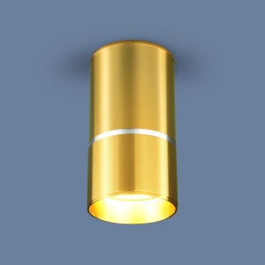 Накладной потолочный светильник Elektrostandard DLN106 GU10 золото 4690389148613