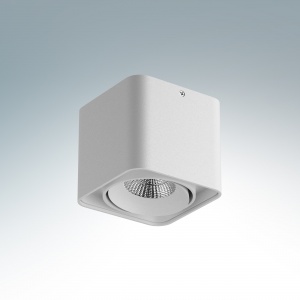  Светодиодный накладной светильник Lightstar Monocco  10W 4200K 052116