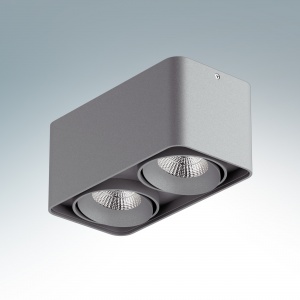  Светодиодный накладной светильник Lightstar Monocco  2x10W 4200K 052129