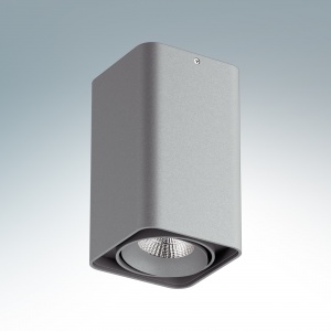  Светодиодный накладной светильник Lightstar Monocco  10W 4200K 052139