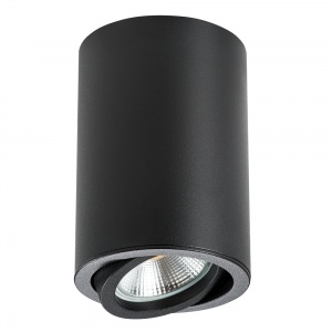 Точечный накладной светильник Lightstar Rullo HP16 214407