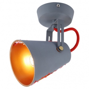  Светильник настенно-потолочный Lussole LSP-8020