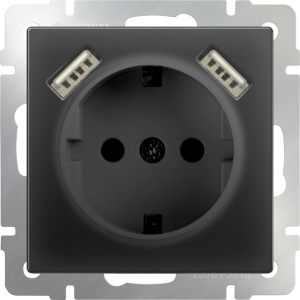  Розетка с заземлением, шторками и USBх2 (черный матовый) Werkel W1171508